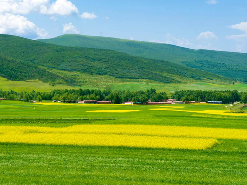 高精度土壤養(yǎng)分檢測(cè)儀多少錢(qián)一臺(tái)