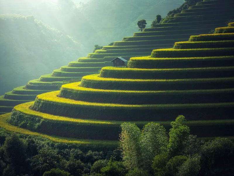 為什么土壤檢測(cè)采樣很關(guān)鍵